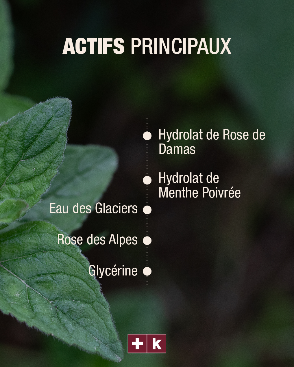 Actifs d'origine naturelle de la brume tonique visage KART