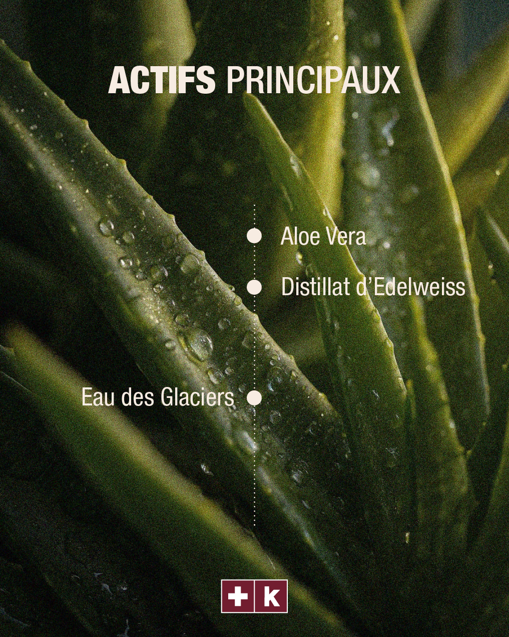 Gel Aloe Vera en spray
