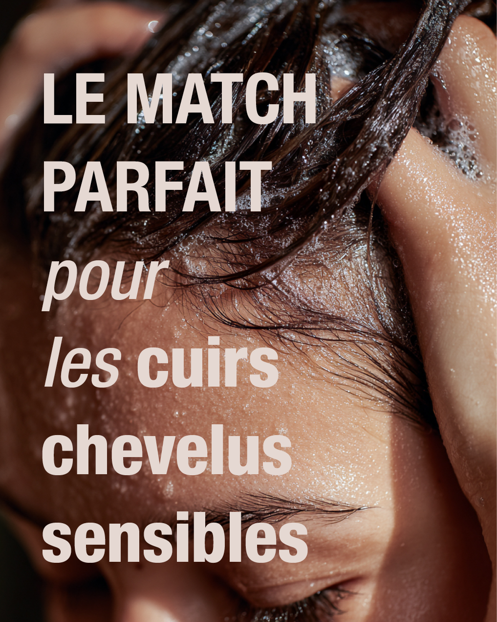 Shampoing sans sulfates