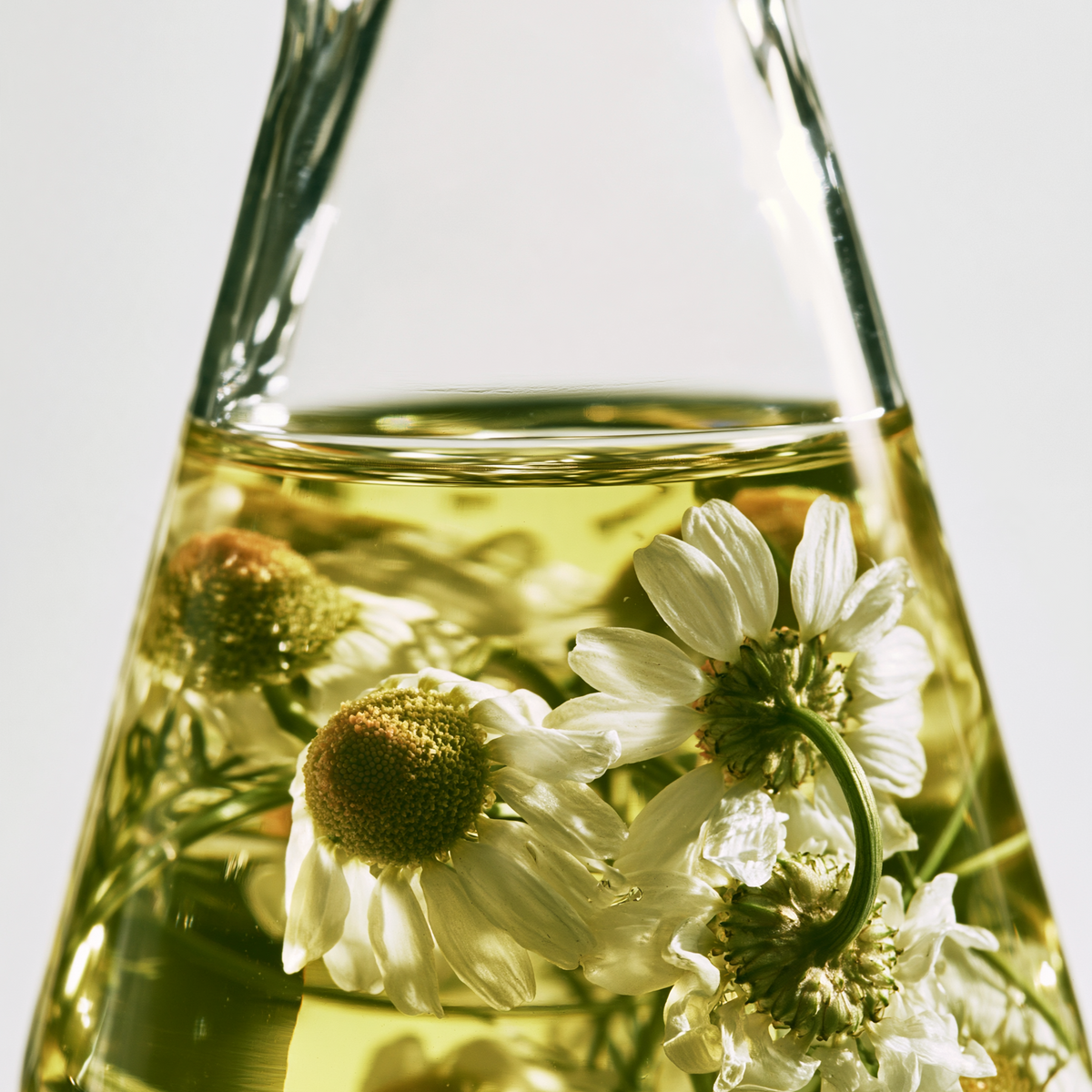 Flacon de laboratoire contenant des extraits végétaux pour une formulation cosmétique naturelle